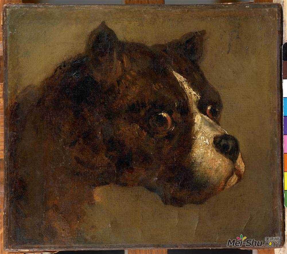 《斗牛犬的头》泰奥多尔·席里柯(theodore gericault