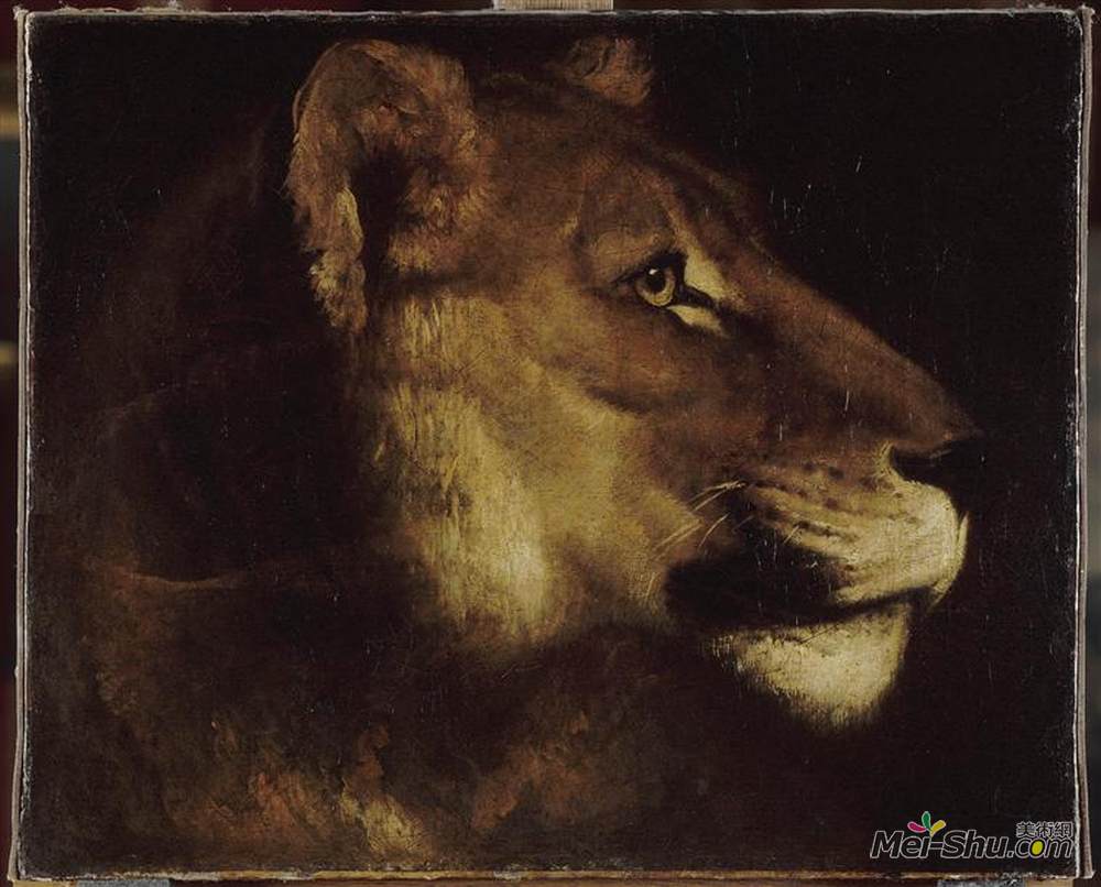 泰奥多尔·席里柯(Theodore Gericault)高清作品《狮子头》