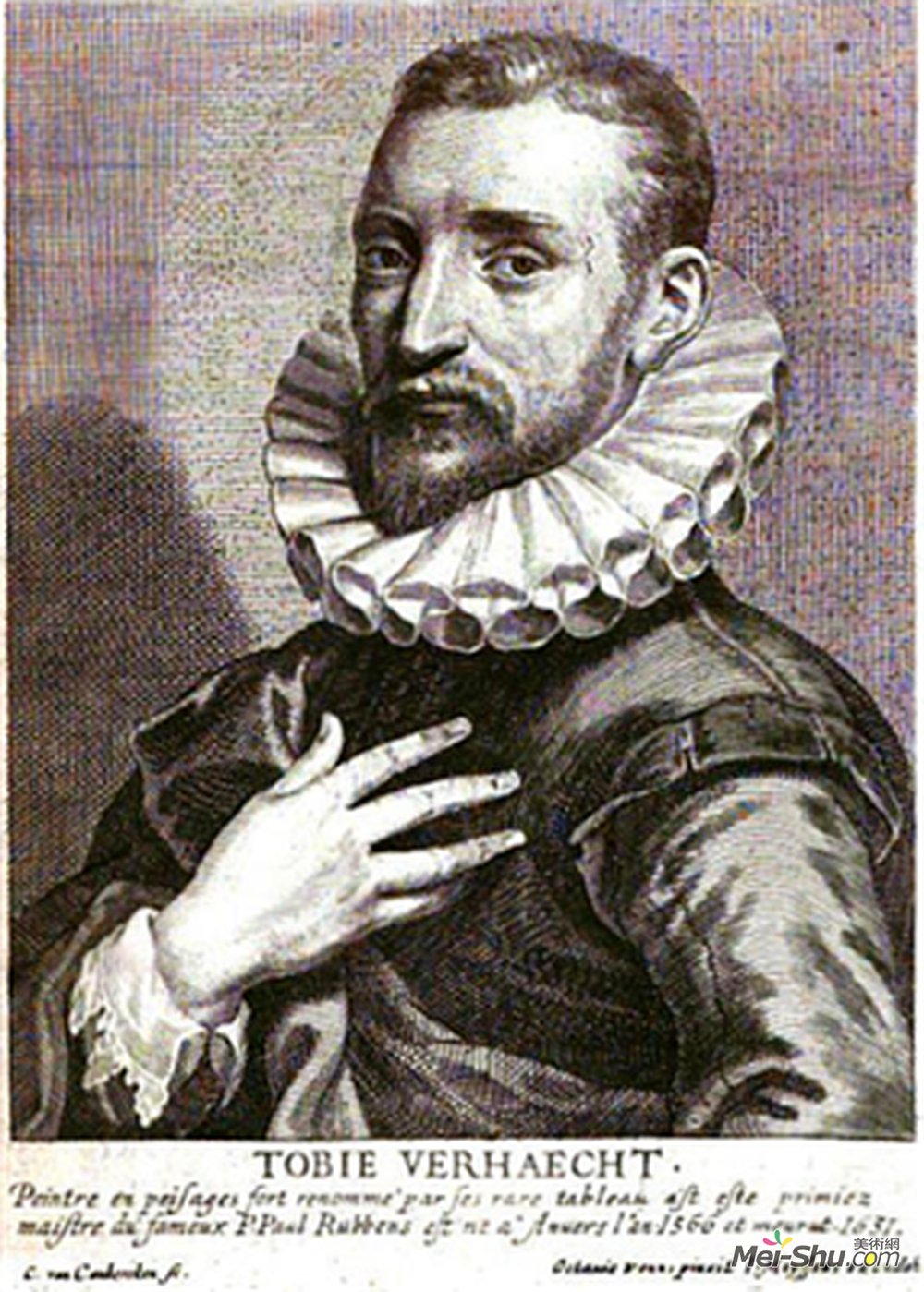维尔哈希特(Tobias Verhaecht)