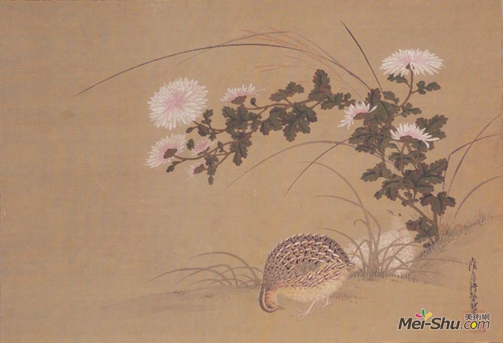 土佐光起(Tosa Mitsuoki)高清作品《鹌鹑和菊花》