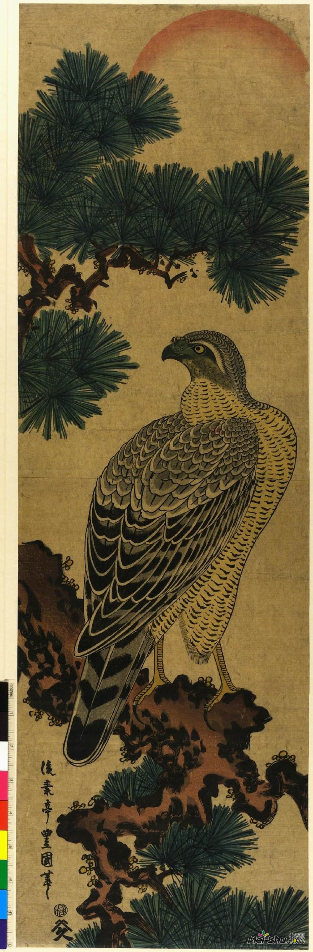 目歌川豊国二代(Utagawa Toyokuni II)高清作品《卡乔加一枝松枝上的猎鹰》
