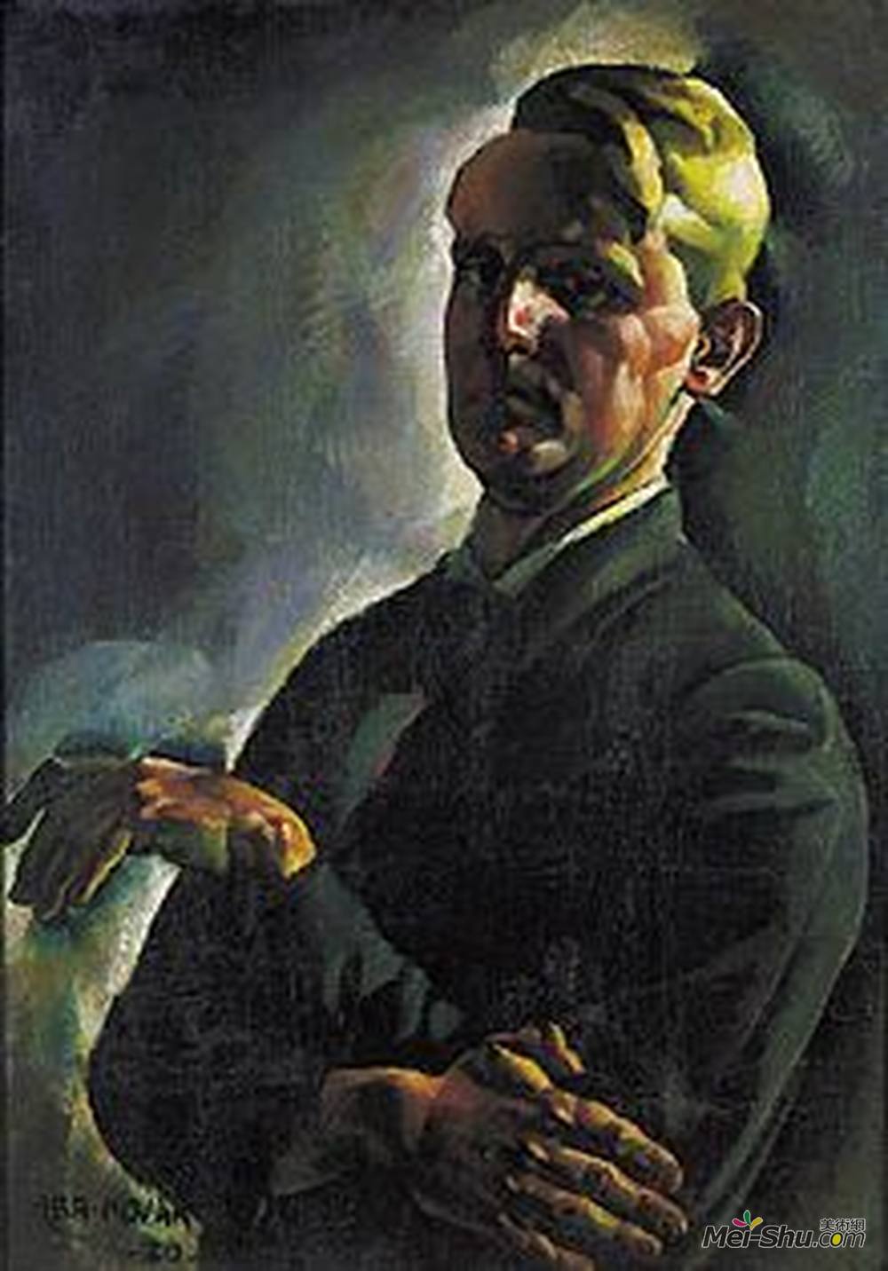 诺瓦克Vilmos皮瓣(Vilmos Aba-Novak)