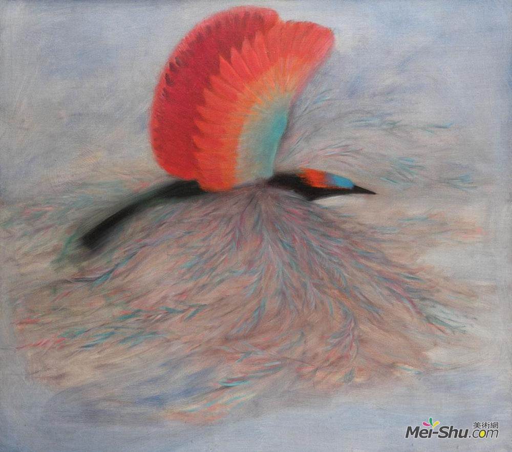维奥雷尔·马尔经恩(Viorel Marginean)高清作品《凤鸟》
