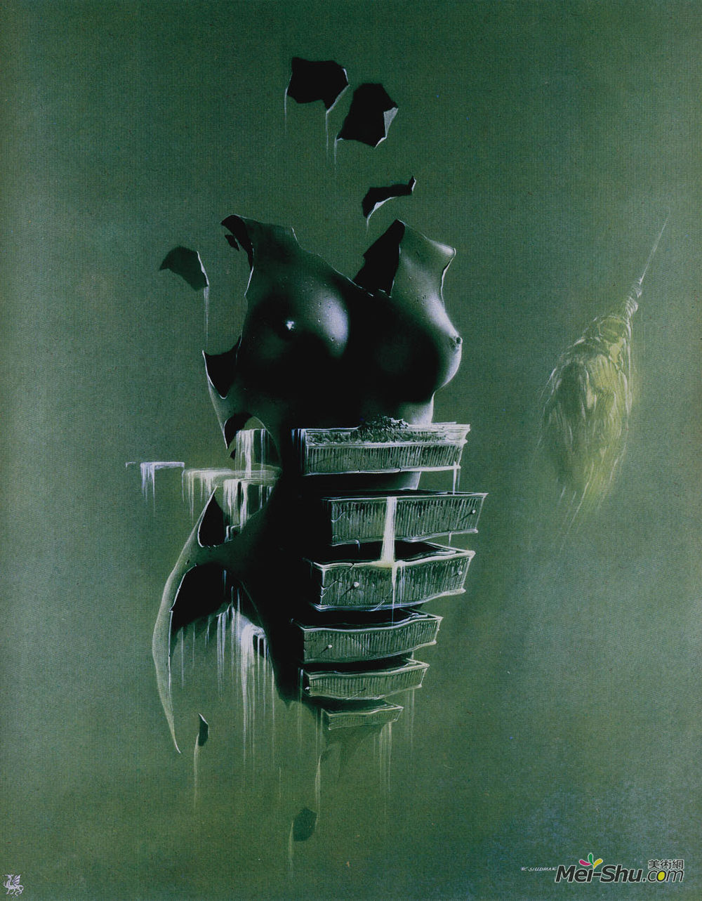 沃吉切希苏达马克(Wojciech Siudmak)高清作品《有机学院》