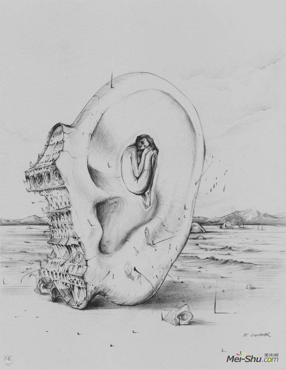 沃吉切希苏达马克(Wojciech Siudmak)高清作品《瞬时低音速》