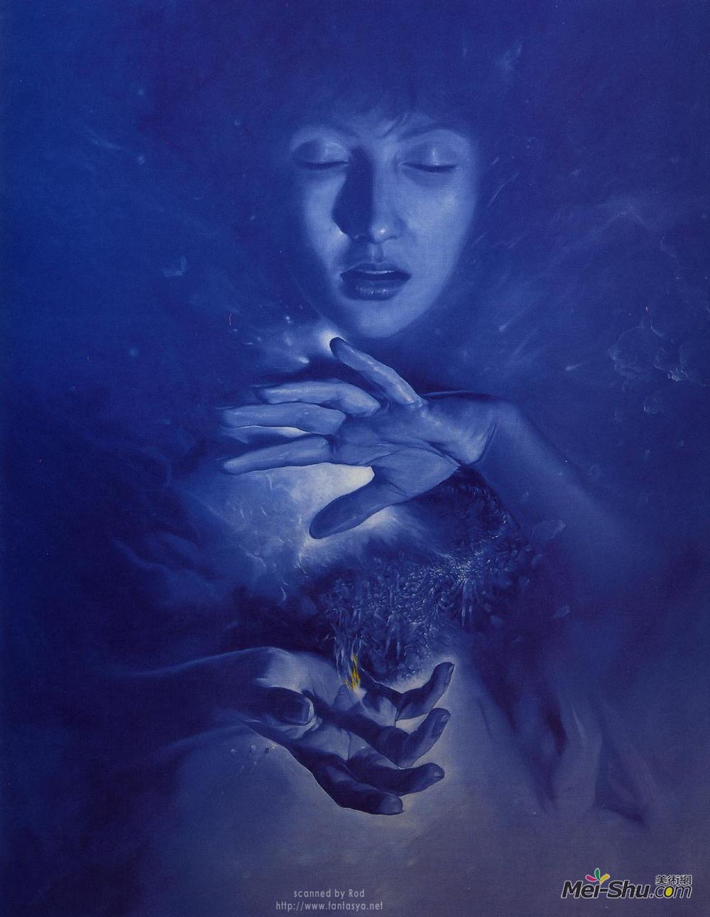 沃吉切希苏达马克(Wojciech Siudmak)高清作品《塞莱斯特运动》