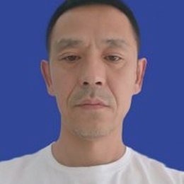 陈洪伟
