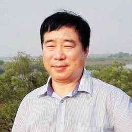 林维