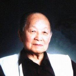 黄苗子