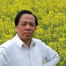 常树森