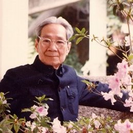 曾竹韶