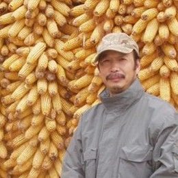 陈书文