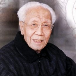 王凤年