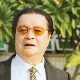 叶绿野