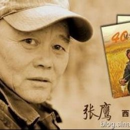 张鹰