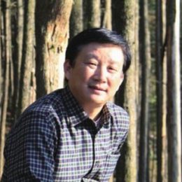丁力