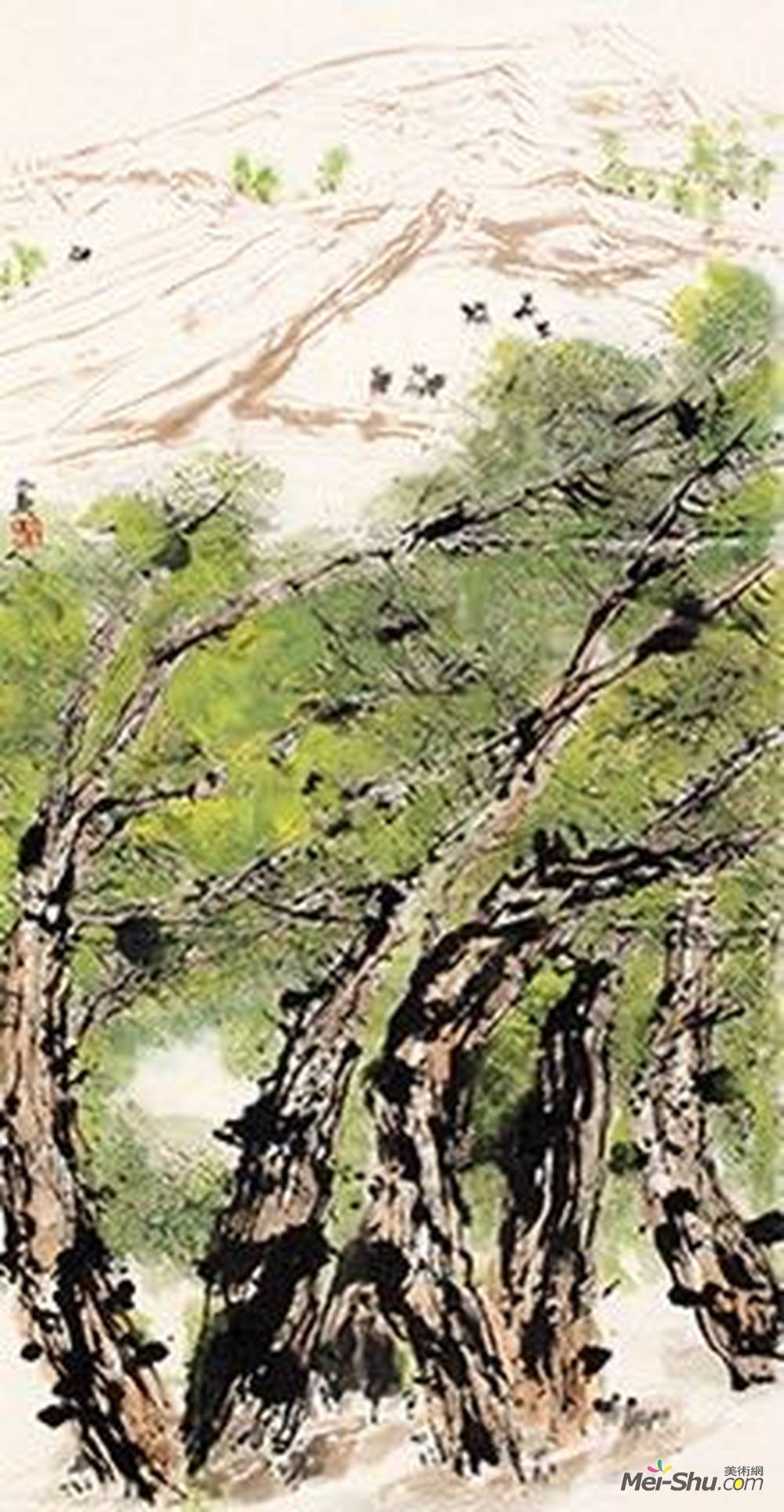 高原之春