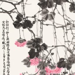 非洲芙蓉