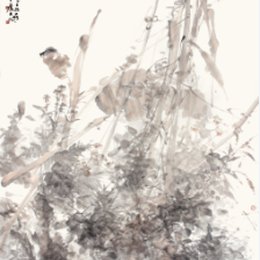 白露