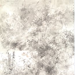 绿野清波总关情