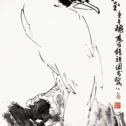 银鹰