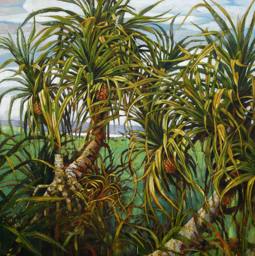 《田野那边的野菠萝》(油画)160x160cm2008年