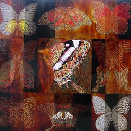 《梦幻蝶影》胡菲 尺寸100X100厘米