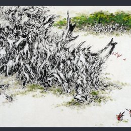 岁月记忆