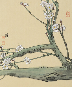 梅花