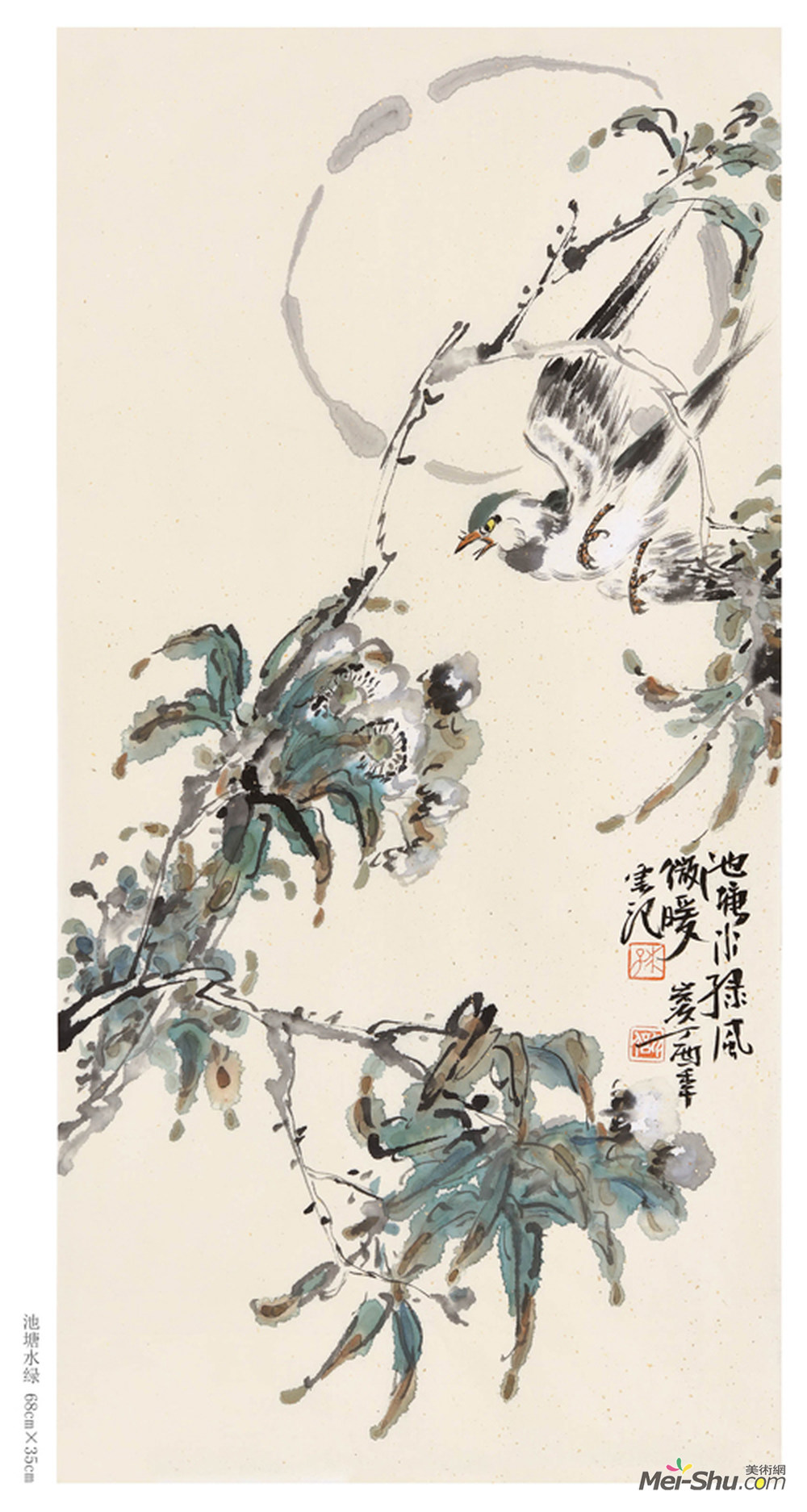 池塘水绿