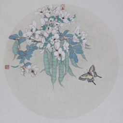 蝶恋花