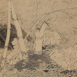 《清音》