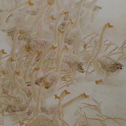 黄昏雪