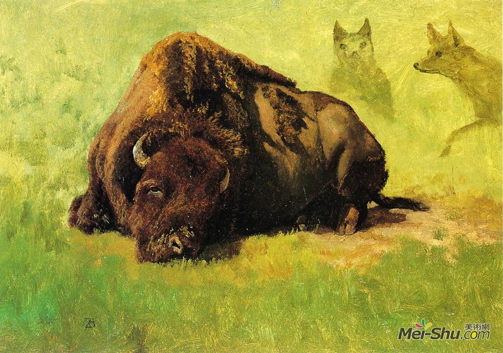 9 cm title:bison with coyotes in the background artist:albert