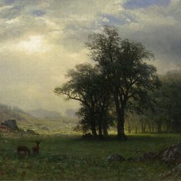 《开放的格伦》阿尔伯特·比尔施塔特(Albert Bierstadt)高清作品欣赏