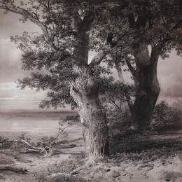 《岸上橡树》阿列克谢·孔德拉季耶维奇·萨伏拉索夫(Aleksey Savrasov)高清作品欣赏