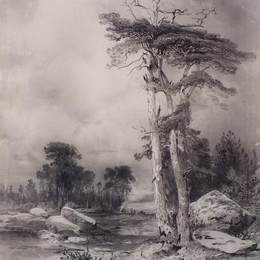 《老松》阿列克谢·孔德拉季耶维奇·萨伏拉索夫(Aleksey Savrasov)高清作品欣赏