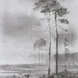《沼泽松树》阿列克谢·孔德拉季耶维奇·萨伏拉索夫(Aleksey Savrasov)高清作品欣赏