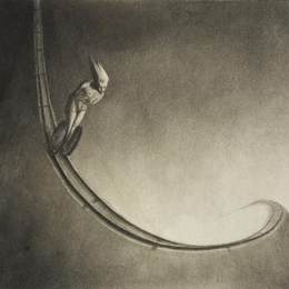 《男人》阿尔弗雷德·库宾(Alfred Kubin)高清作品欣赏