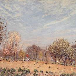 《春天开花的苹果树》阿尔弗莱德·西斯莱(Alfred Sisley)高清作品欣赏