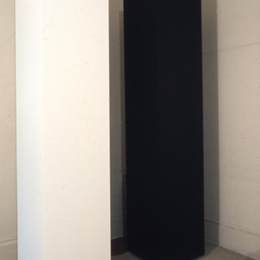 《种子和根系》安妮·特鲁特(Anne Truitt)高清作品欣赏