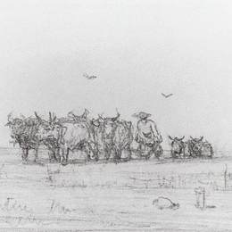 《耕牛》阿克希普·库祖(Arkhip Kuindzhi)高清作品欣赏