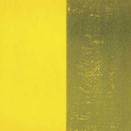 巴尼特·纽曼(Barnett Newman)高清作品:Canto Xll