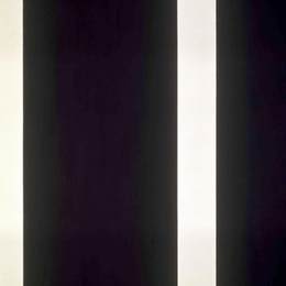 《13。第十三站》巴尼特·纽曼(Barnett Newman)高清作品欣赏