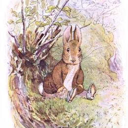 《本杰明兔子》碧雅翠丝·波特(Beatrix Potter)高清作品欣赏