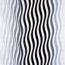 《逮捕1》布里奇特·赖利(bridget riley)高清作品欣赏