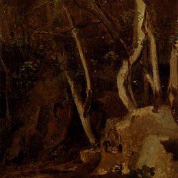 《在奇维塔卡斯提亚，树木茂密的岩石》卡米耶·柯罗(Camille Corot)高清作品欣赏