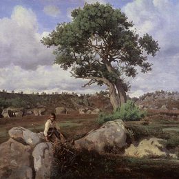 《狂怒的人》卡米耶·柯罗(Camille Corot)高清作品欣赏