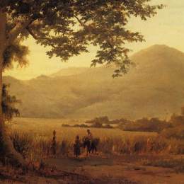 卡米耶·毕沙罗(Camille Pissarro)高清作品:Antilian Landscape, St. Thomas