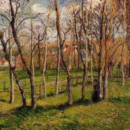 卡米耶·毕沙罗(Camille Pissarro)高清作品:Meadow at Bazincourt